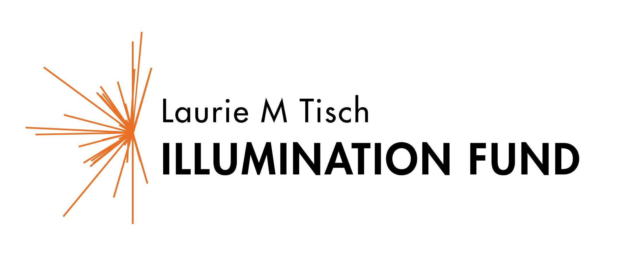 Laurie M Tisch Illumination Fund